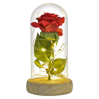 Gift for Mom Beauty and The Beast Preserved Roses In Glass Galaxy Rose Flower LED Light Artificial Flowers Gift for Women Girls
